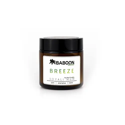 BABOON NATURAL Çam & Okaliptus & Nane - Soyalı Mum - Breeze